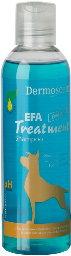 hard working Ambient Electrical Dermoscent EFA Treatment Shampoo 6.67 oz.