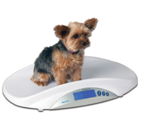 Digital MS-15 Portable Tray Scale