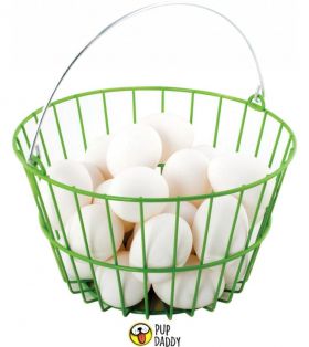 Farmers Market Egg Basket 