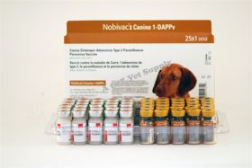 Nobivac: Canine 1-DAPPv - 25x1 Doses