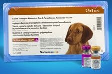 Nobivac Canine 1-DAPPv+L4 - 25x1 Doses