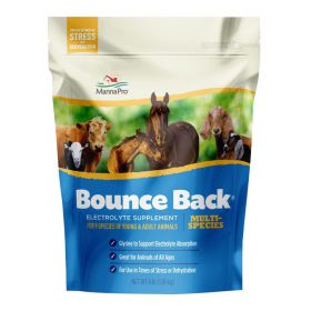 Bounce Back Multi-Species Electrolyte Supplement 4lbs 
