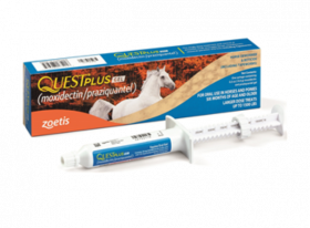 Quest Plus Gel Dewormer and Boticide for Horses 14.4gm