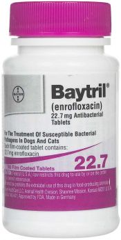 Baytril Antibacterial Film Coated Tablets