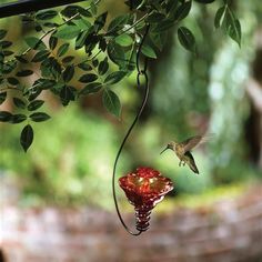 Par-A-Sol Gloria Flame Red Hummingbird Feeder