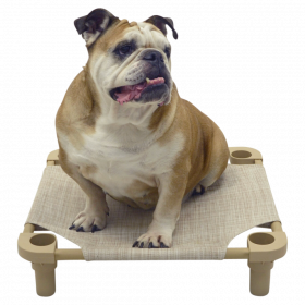 4 Legs 4 Pets Pet Cot 22 x 22"-Country Wheat