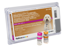 Nobivac Canine 1-DAPPv+L4 - 25x1 Doses