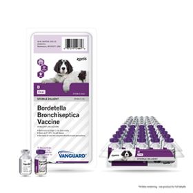 Vanguard B Oral Bordetella Bronchiseptica Vaccine 25x1