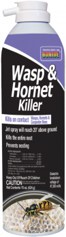 Wasp & Hornet Killer 15 oz.