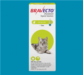 Bravecto Topical Solution for Cats & Kittens 10ct