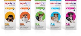 Bravecto Topical Solution for Dogs Single Dose 10ct