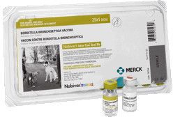 Nobivac Intra-Trac Oral Bb Bordetella Bronchiseptica Vaccine 25x1