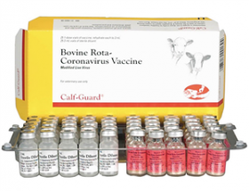 Calf-Guard Rota-Coronavirus Vaccine 25x1