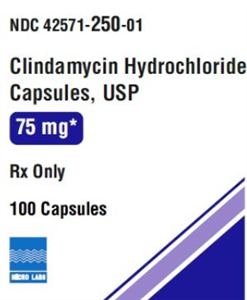 Clindamycin Capsules 100ct