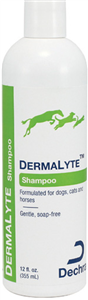 DermaLyte Shampoo