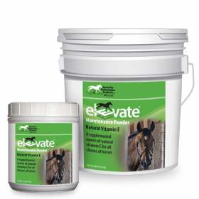 Elevate Maintenance Powder for Horses