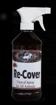 Elite Nutrition Re-Cover Spray 16oz