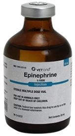 Epinephrine Injectable 50ml