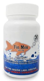Fin Mox 500mg 30ct