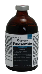 Furosemide Injection 100ml