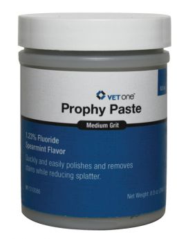 Prophy Paste Spearmint Flavor Medium Grit 250gm