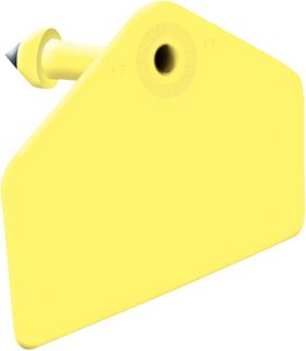 Global Hog Male Ear Tag with Button Blank Yellow 25ct