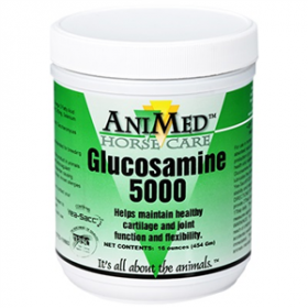 Glucosamine 5000 for Horses