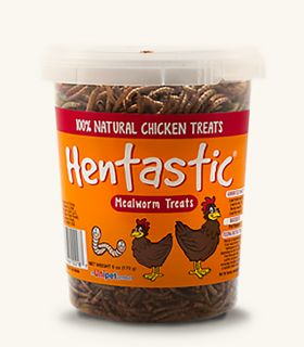 Hentastic Mealworm Treats 6oz
