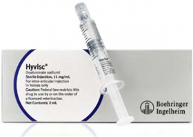 Hyvisc (Hyaluronate Sodium) Sterile Injection 2mL Prefilled Syringe