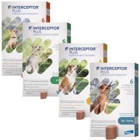 Interceptor Plus Chewables for Dogs 6 Month 5ct