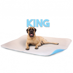 Ultra Absorbent Washable Lennypad King 48" x 72"