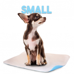 Ultra Absorbent Washable Lennypad Small 13" x 22"