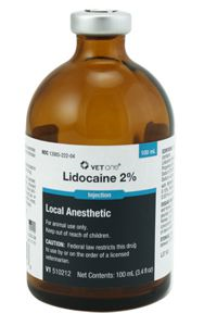 Lidocaine 2% Injection Local Anesthetic