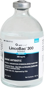 LincoBac 300 Swine Injection Antibiotic 100ml
