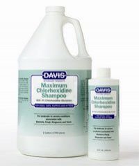 Maximum Chlorhexidine 4% Shampoo