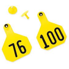 Y*Tex All-American Tag System Yellow 76 - 100 