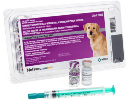 Nobivac Intra-Trac Oral BbPi 25x1ds