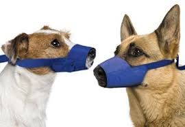 Quick Dog Muzzle