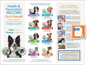 Health and Vaccination Record for Dogs (Do it Yourself) 60ct