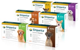 Simparica Chewables for Dogs 6 Month 10ct