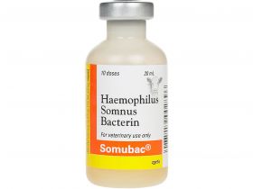 Somubac Haemophilus Somnus Bacterin Vaccine