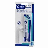 CET Toothbrush Feline with 12gm Toothpaste