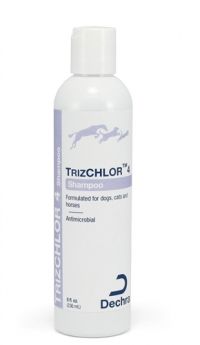 TrizCHLOR 4 Shampoo