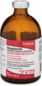 Oxytocin Injectable 100ml