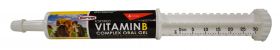 Fortified Vitamin B Complex Oral Gel 30ml