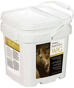 WellSolve W/G Well Gel Complete Supplement for Horses 25lb