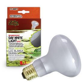 Day White Light Incandescent Spot Bulbs