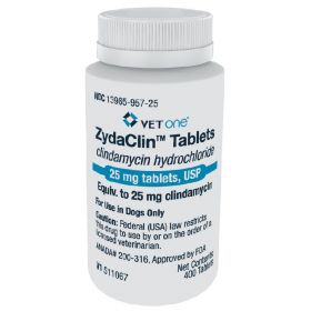 ZydaClin Tablets 25mg 400ct