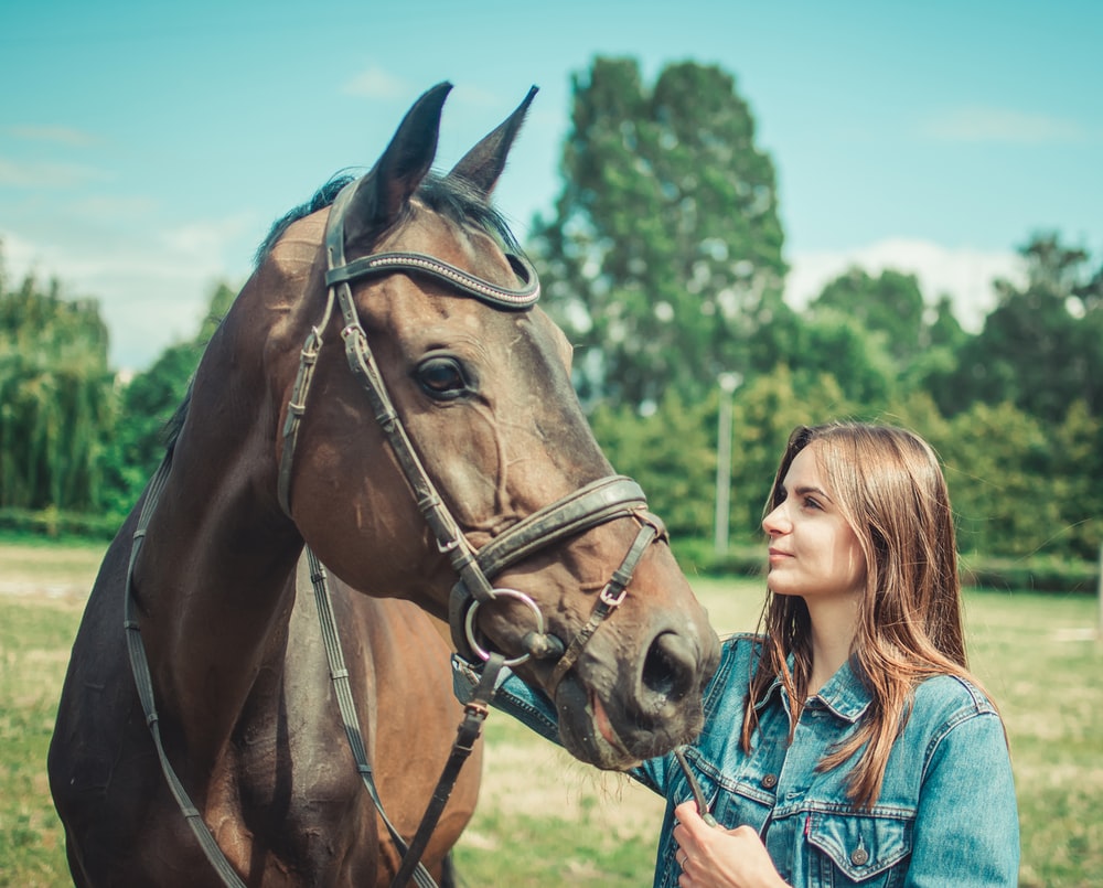 Basic Care Essentials for a Horse
