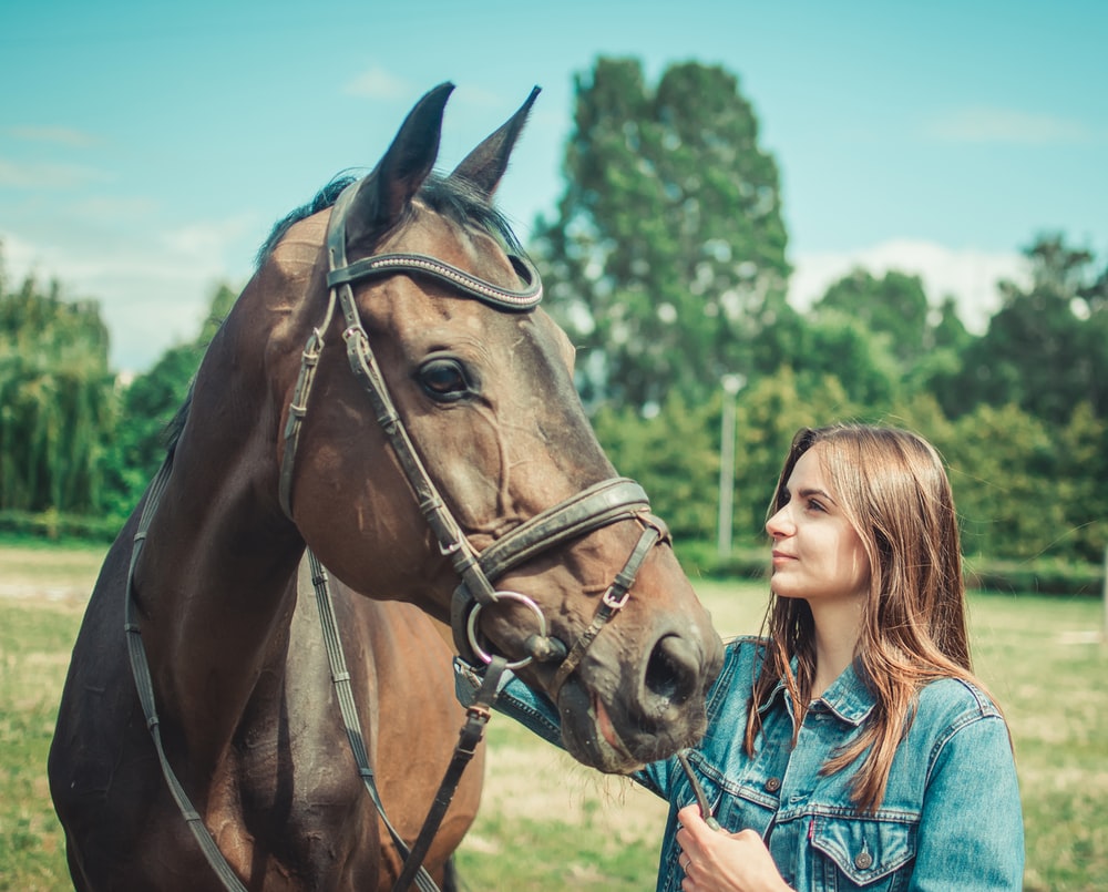 7 Tips for Feeding your Horse in Winter [Cold Weather Care Guide